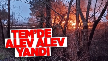 Otoyolda araç alev alev yandı
