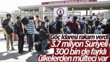 Türkiye'de 3,7 milyon Suriyeli var
