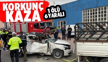 Park halindeki kamyonete çarptı 1 ölü 6 yaralı