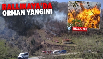 Akyazı'da orman yangını