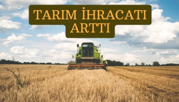 Türkiye'nin Tarım İhracatı Arttı