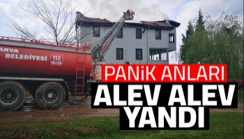 Hendek'te yangın
