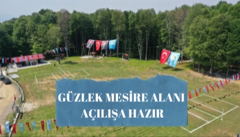 Güzlek mesire alanı açılışa hazır