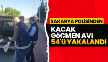 Sakarya'da kaçak göçmenler yakalandı