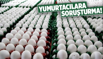 Yumurta üreticilerine Rekabet soruşturması