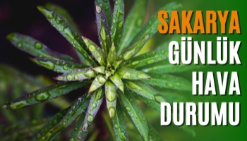 Sakarya Günlük Hava Durumu