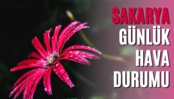 Sakarya Günlük Hava Durumu