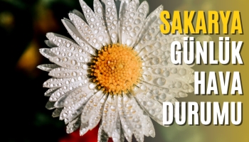 Sakarya Günlük Hava Durumu