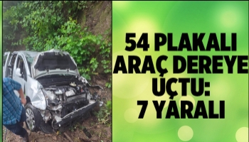 Araç dereye uçtu: 7 yaralı