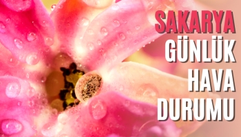Sakarya Günlük Hava Durumu