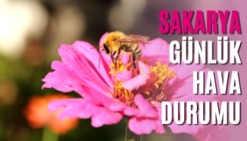 Sakarya Günlük Hava Durumu