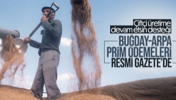 Buğday ve arpa üreticilerine destek ödemesi yapılacak