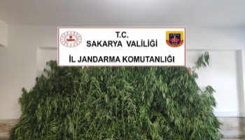 Baba ve oğlu uyuşturucudan gözaltında