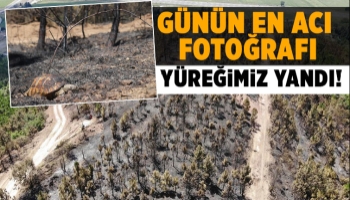 Yangın sonrası en acı fotoğraf