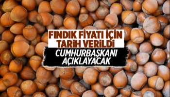 Cumhurbaşkanı fındık fiyatını açıklayacak