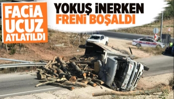 Freni boşalan tomruk yüklü kamyon devrildi