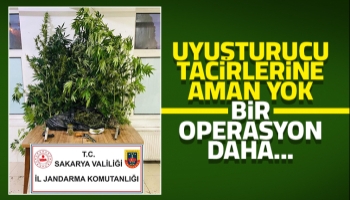 Sapanca'da uyuşturucu operasyonu