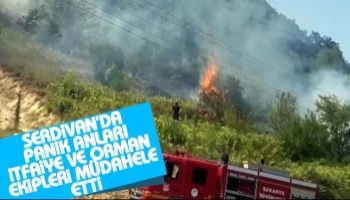 Serdivan'da ormanlık alanda korkutan yangın