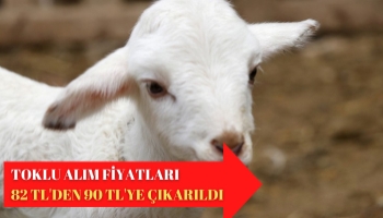 Toklu Alım Fiyatları 82 TL'den 90 TL'ye Çıkarıldı