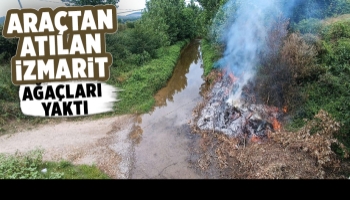 D-100'de araçtan atılan izmarit yangın çıkardı