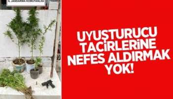 Jandarmadan uyuşturucu operasyonu