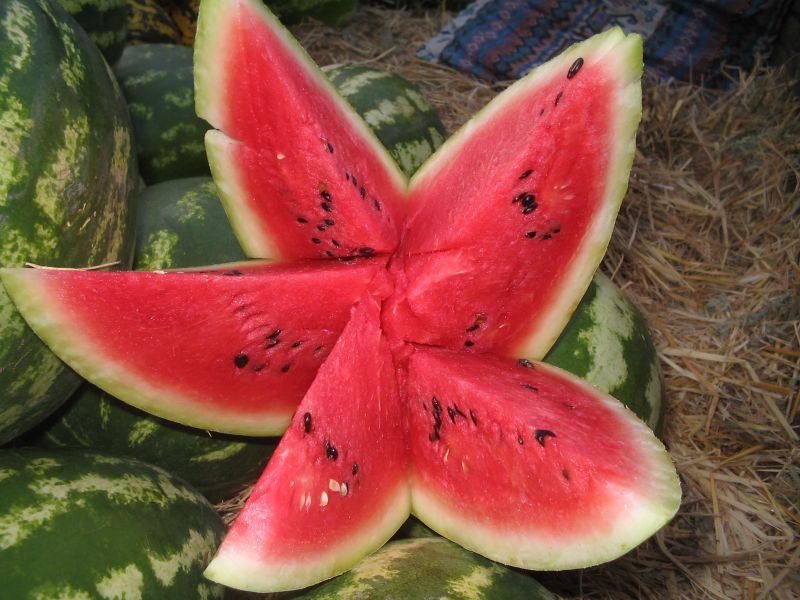 Karpuz Yemeniz İçin Çok Sebebiniz Var