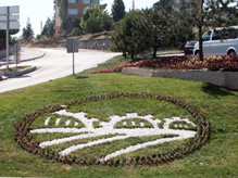 Sakarya'da Kavşaklar Çiçek Açtı