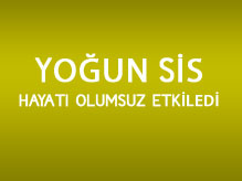 Yoğun Sis Yaşamı Olumsuz Etkiledi